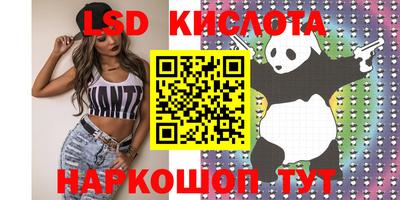 меф Кингисепп