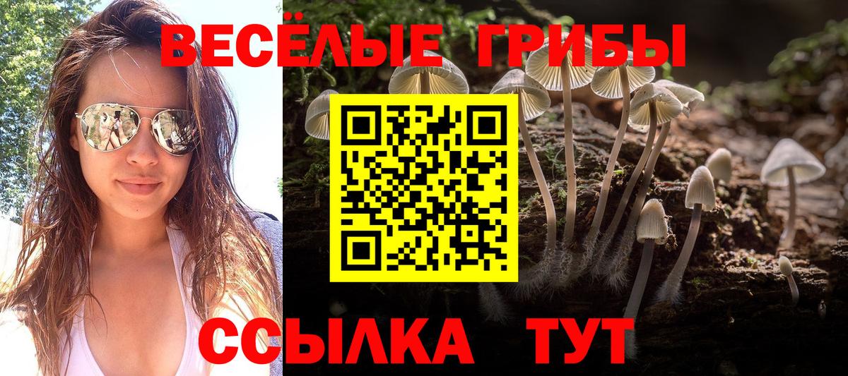 Галлюциногенные грибы мухоморы Кингисепп