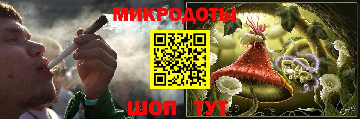 Галлюциногенные грибы прущие грибы  Вход с VPN  Кингисепп 